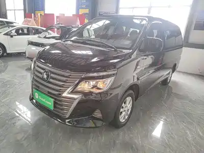 Dongfeng Fengxing Lingzhi 2023