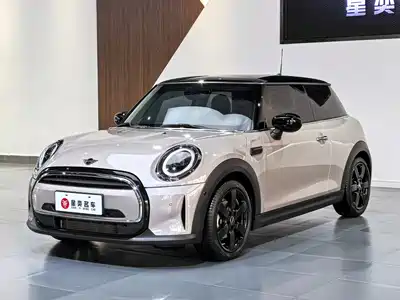 MINI MINI 2024