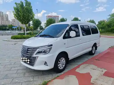 Dongfeng Fengxing Lingzhi New Energy 2023