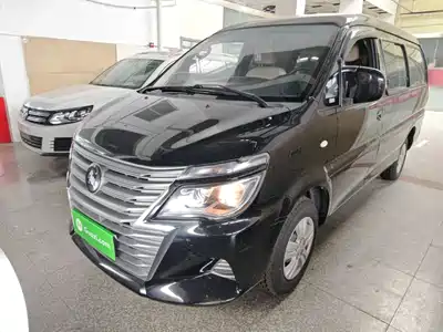 Dongfeng Fengxing Lingzhi 2024