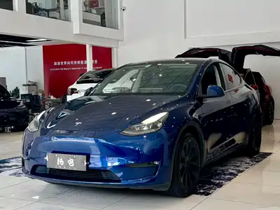 Tesla Model Y 2021