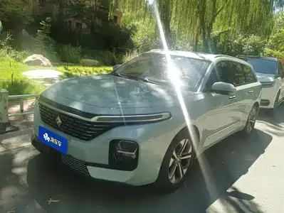 Baojun Valli 2021
