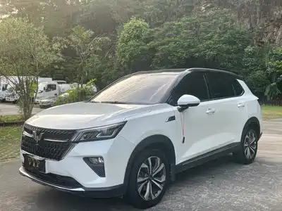 Wuling Motors Xingchen 2022