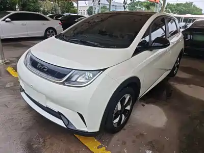 BYD Dolphin 2024