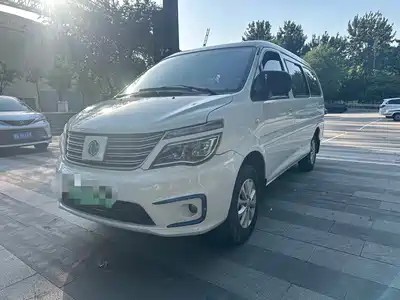 Dongfeng Fengxing Lingzhi New Energy 2021