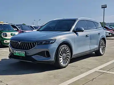 Voyah Auto FREE 2022
