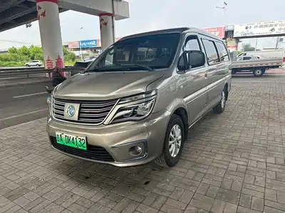 Dongfeng Fengxing Lingzhi New Energy 2021