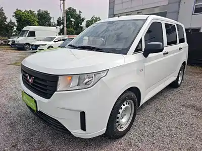 Wuling Motors Hongguang PLUS 2024