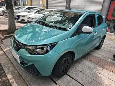 JMCG New Energy Little Kirin 2024
