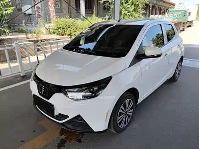 JMCG New Energy Little Kirin 2024