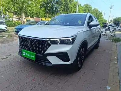 Besturn T77 2019