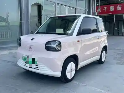 Zhido Rainbow 2024