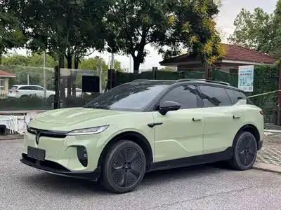 Voyah Auto Zhiyin 2025