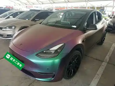 Tesla Model Y 2021