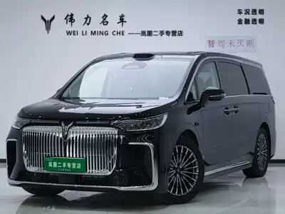 Voyah Auto Dreamer 2025