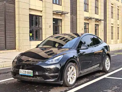 Tesla Model Y 2021
