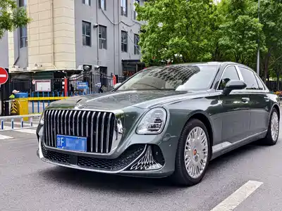 Hongqi Guoya 2024