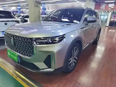 Besturn T99 2021