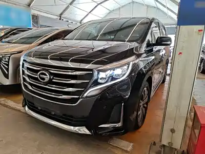 GAC Trumpchi M8 2020