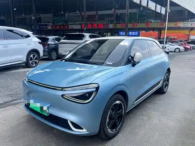 Dongfeng Yipai Nano 01 2024