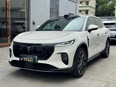 Voyah Auto Zhiyin 2025