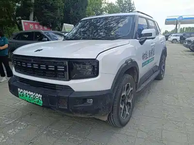 Jetour Shanhai T1 2024