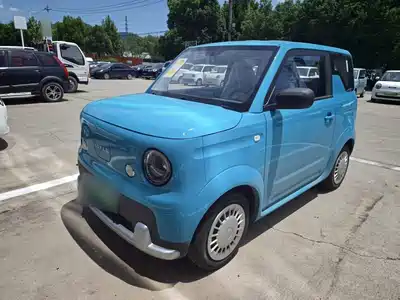 Ruilan Auto Blue Elf 2026