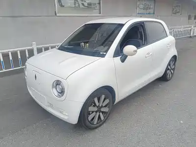 Ora Black Cat 2021