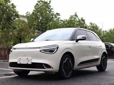 Dongfeng Yipai Nano 01 2024