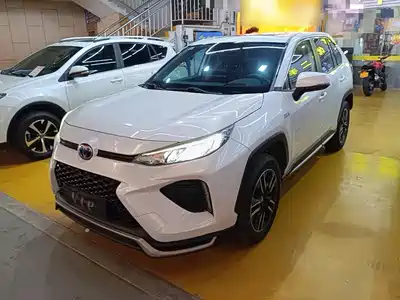 Toyota Wildlander New Energy 2022
