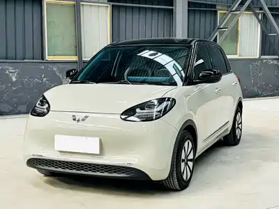 Wuling Motors Bingo 2024