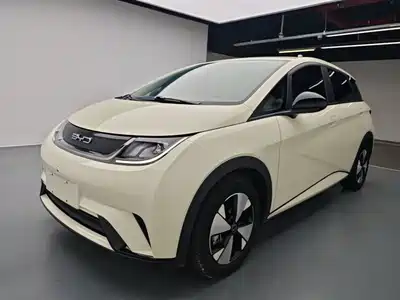 BYD Dolphin 2024