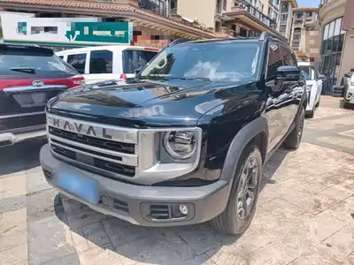 Haval Big Dog 2024
