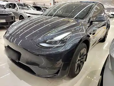 Tesla Model Y 2025