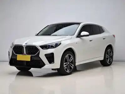 BMW X2 (Import) 2025