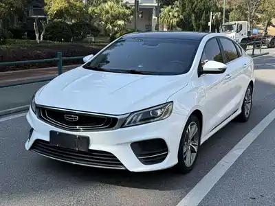 Geely Binrui 2021