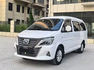 Dongfeng Fengxing Lingzhi New Energy 2022