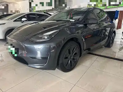 Tesla Model Y 2025