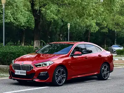 BMW 2 Series (Import) 2023