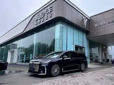 Voyah Auto Dreamer 2025