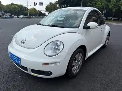 Volkswagen Beetle 2010