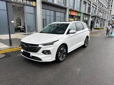Wuling Motors Victory 2021