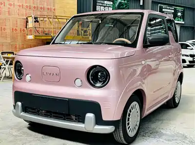 Ruilan Auto Blue Elf 2024