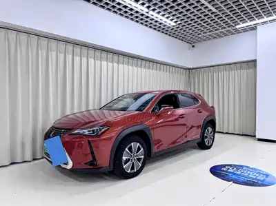 Lexus UX300e 2021