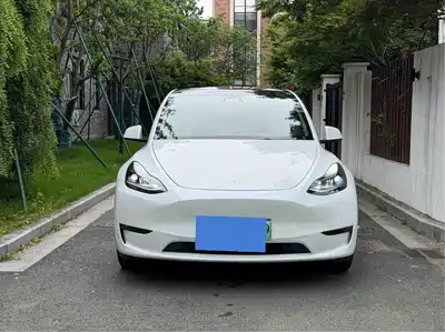Tesla Model Y 2021