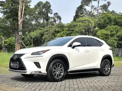Lexus NX 2021