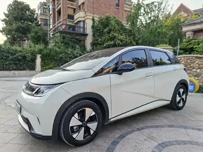 BYD Dolphin 2024