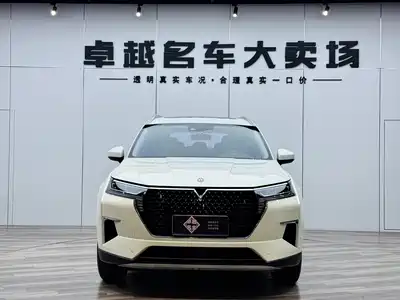 Venucia Star 2022