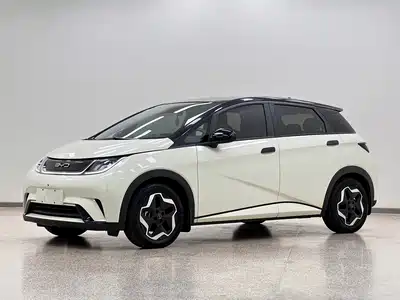 BYD Dolphin 2022
