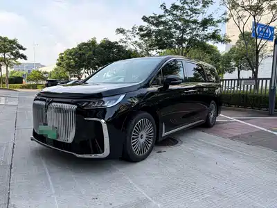 Voyah Auto Dreamer 2026